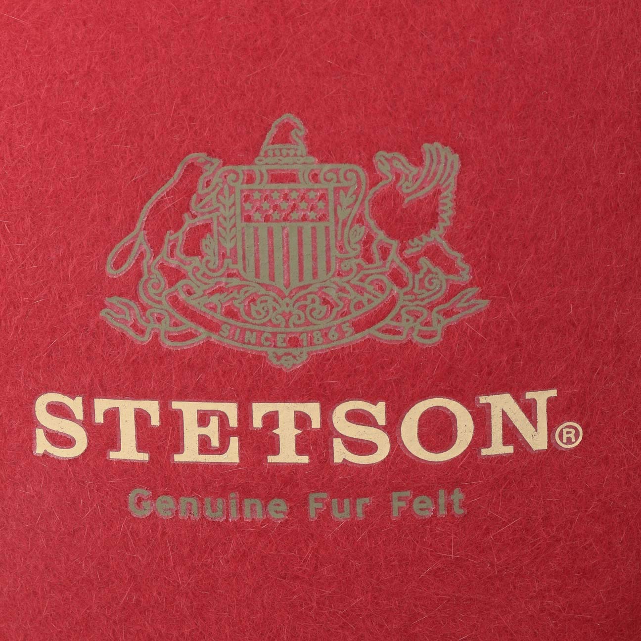 stetson-marico-player-haarfilzhut-trilby-wasserabweisend-ripsband-made-in-italy image 6
