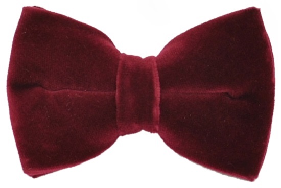 ascot-schleife-uni-samt-bordeaux-baumwollsamt-vorgebunden-verstellbar image 1