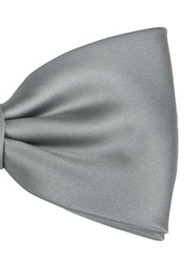 hemley-schleife-uni-satin-silber-form-wien-6-cm-verstellbar image 1