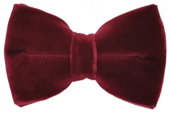 ascot-schleife-uni-samt-bordeaux-baumwollsamt-vorgebunden-verstellbar image 1