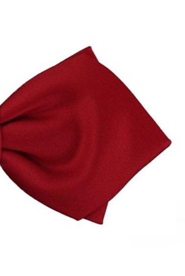 ascot-schleife-uni-satin-spitz-rot-form-napoli-verstellbar-36-46 image 1