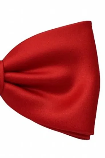 hemley-schleife-uni-satin-gerade-rot-form-wien-seidenfliege-6-cm image 1
