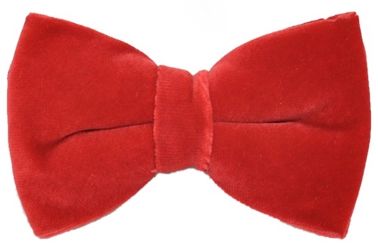 ascot-schleife-samt-rot-vorgebunden-verstellbar image 1