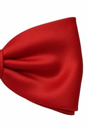 ascot-schleife-uni-satin-rot-gerade-form-wien-6-cm-seide-zum-selbstbinden image 1