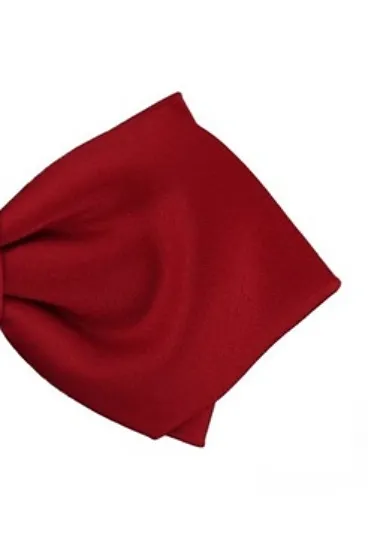 hemley-schleife-uni-satin-spitz-rot-form-napoli-zum-selbstbinden image 1