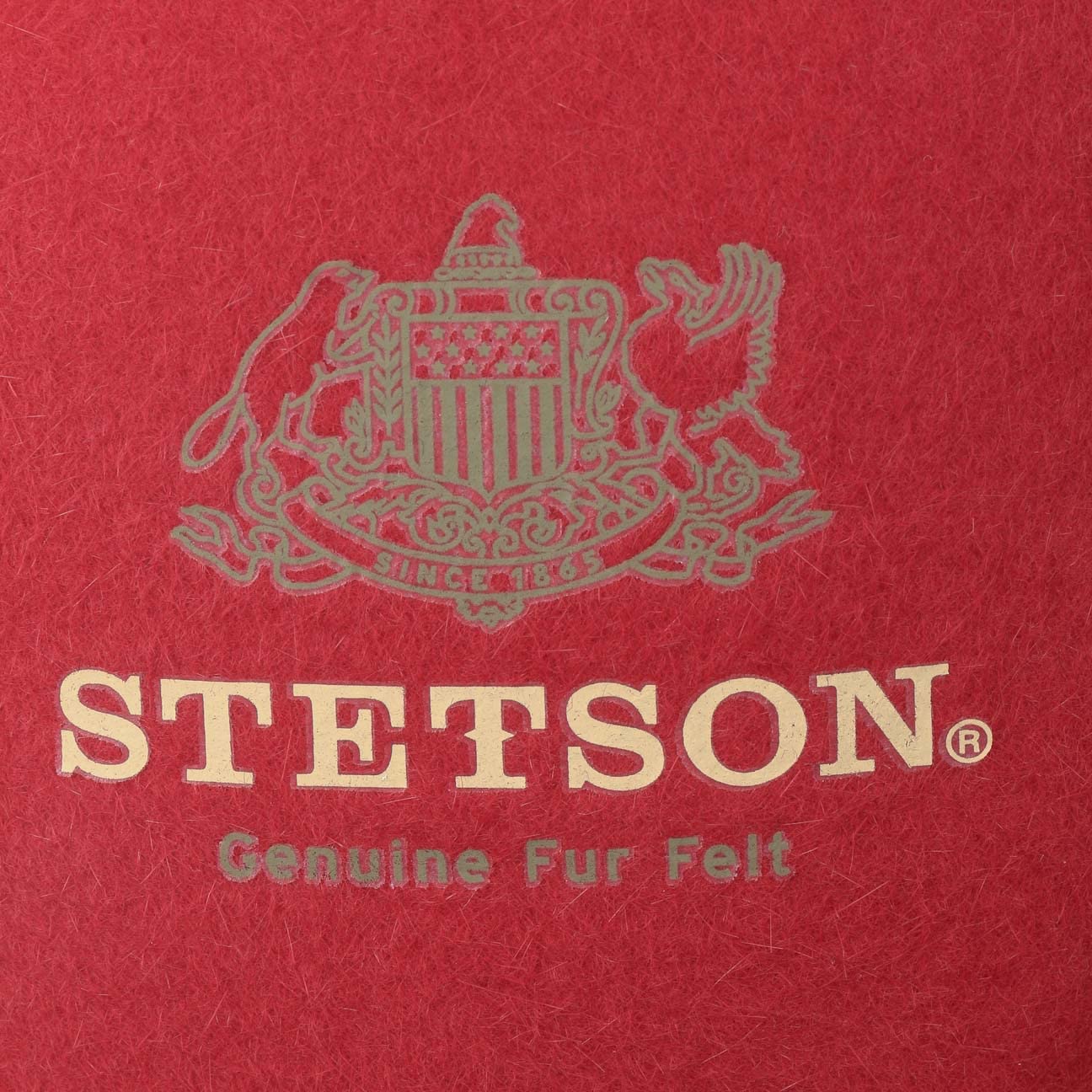stetson-marico-player-haarfilzhut-trilby-wasserabweisend-ripsband-made-in-italy image 7